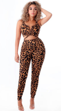 Animal Fever Pant Set - Foxy And Beautiful